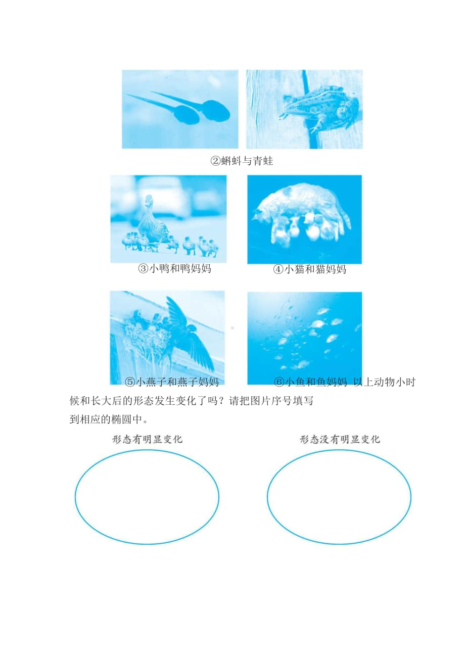 2020新教科版三年级下册科学第二单元动物的一生 测试 教科版（无答案）.docx_第3页