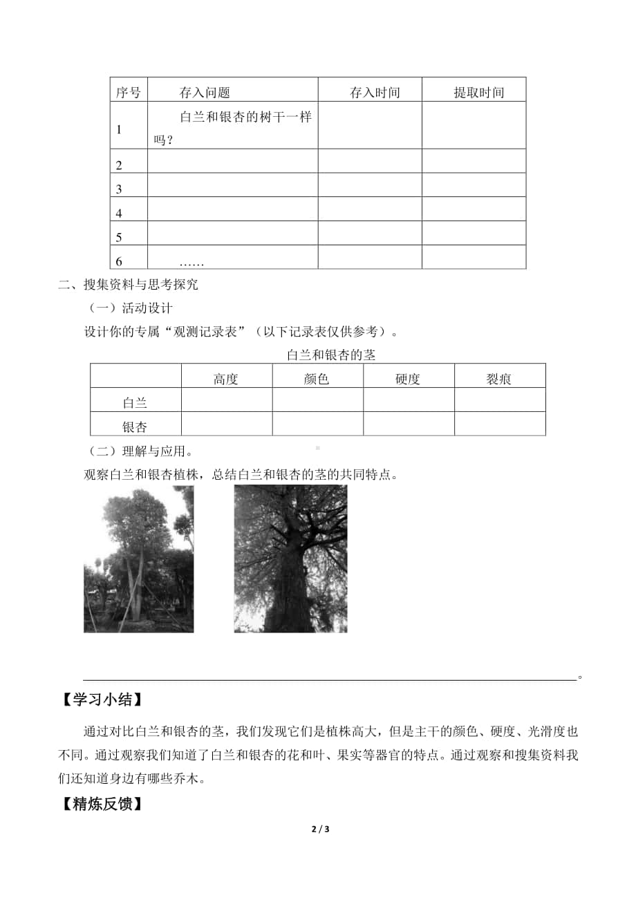 2020新粤教版四年级下册《科学》1.白兰和银杏导学案（无答案）.docx_第2页