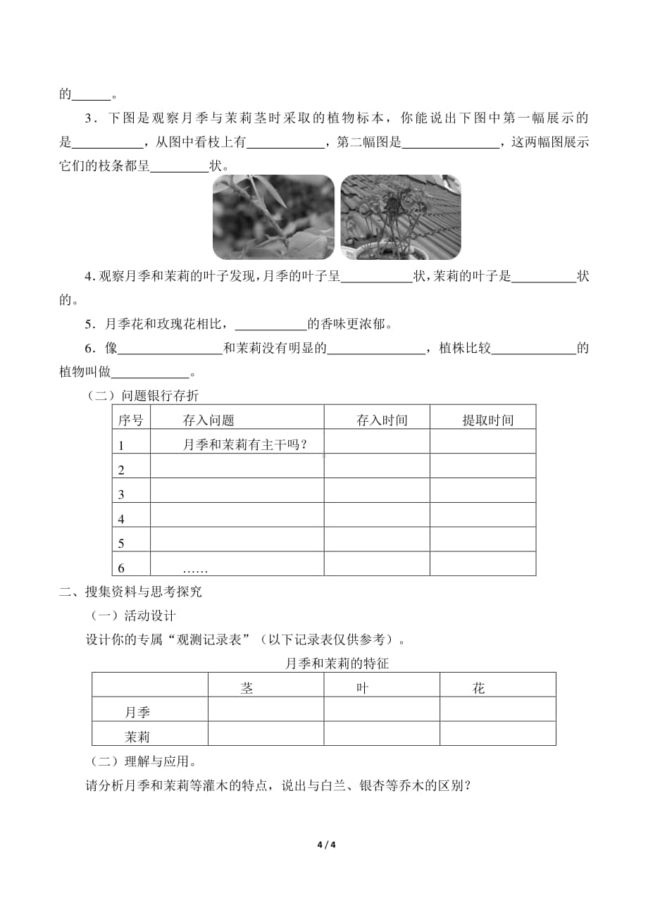 2020新粤教版四年级下册《科学》2.月季和茉莉导学案（无答案）.docx_第2页