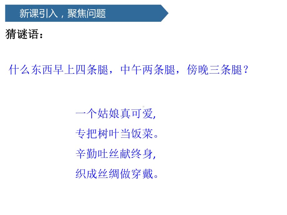 2020新教科版三年级下册科学2.1迎接蚕宝宝的到来ppt课件.pptx_第3页