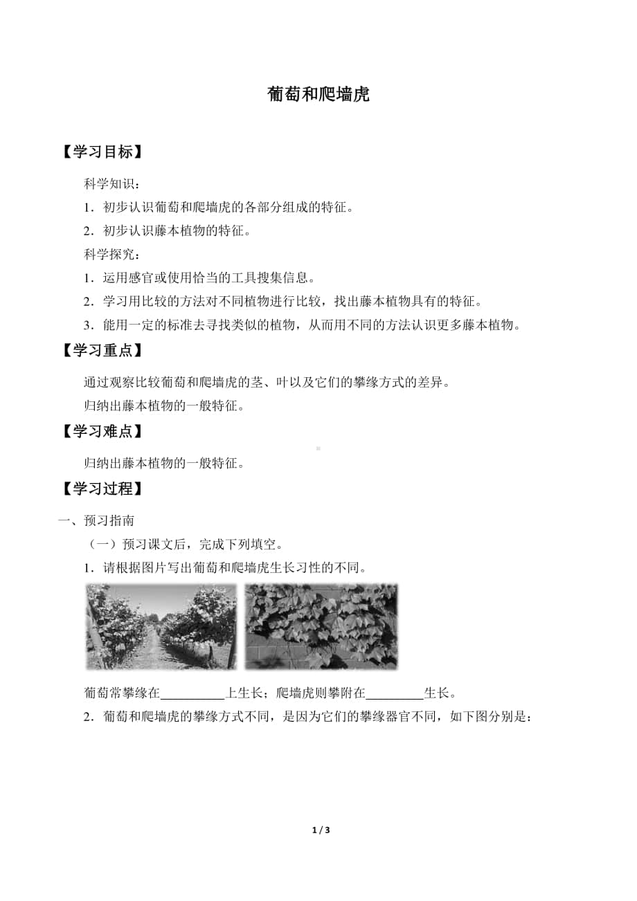 2020新粤教版四年级下册《科学》4.葡萄和爬墙虎导学案（无答案）.docx_第1页