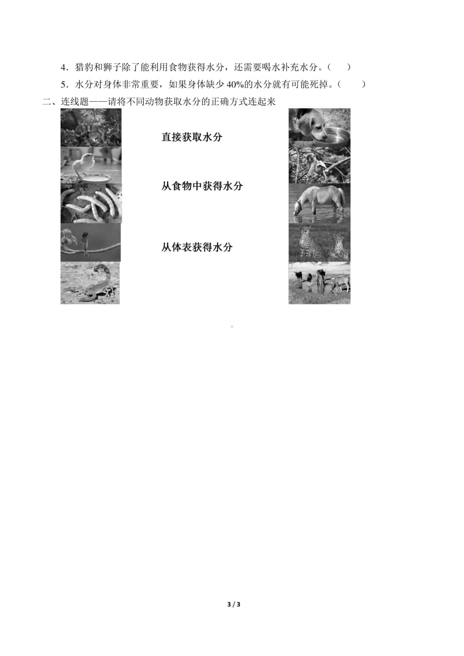 2020新粤教版四年级下册《科学》9.动物需要水分导学案（无答案）.docx_第3页