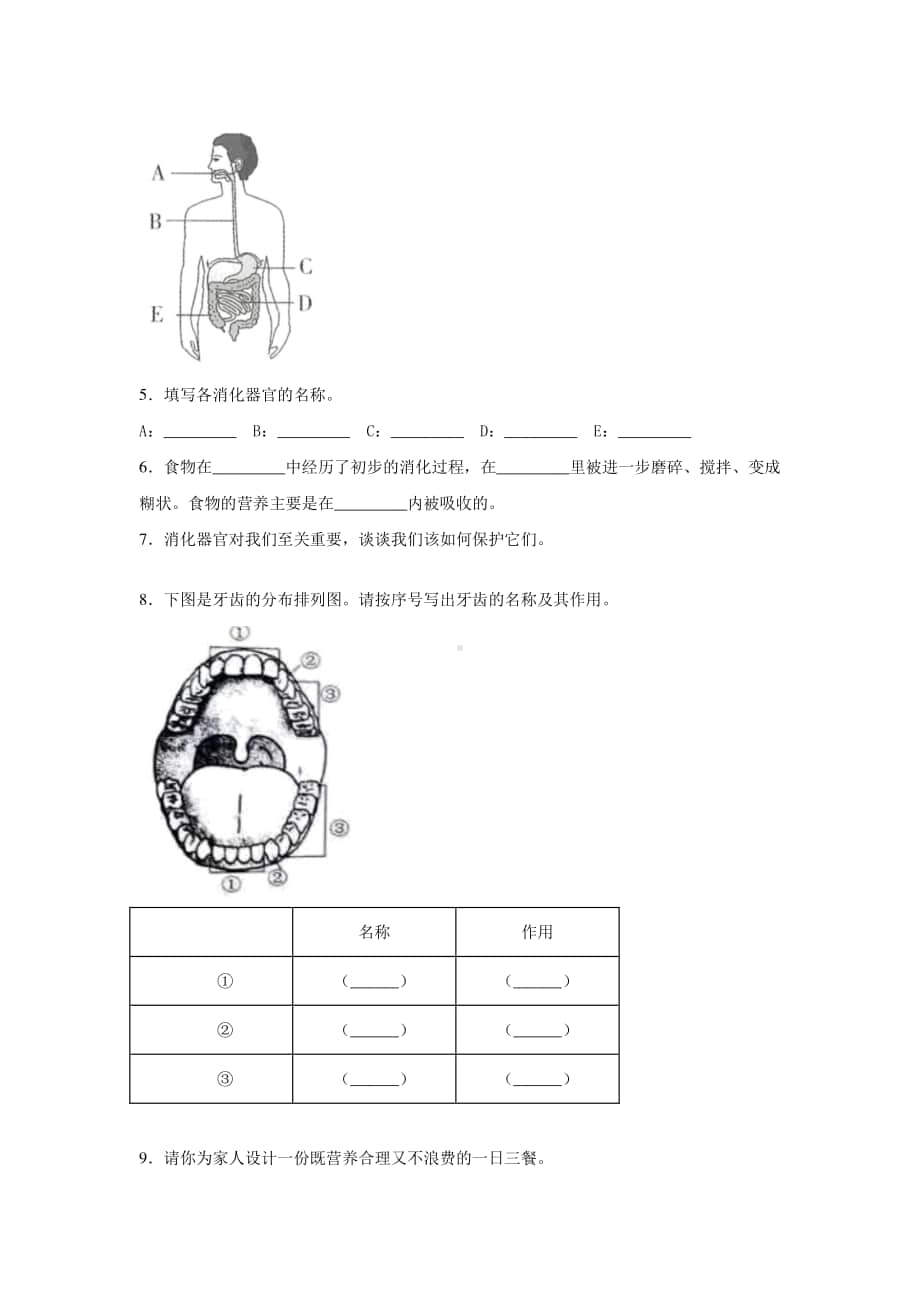 2020新教科版四年级上册科学期末综合、实验题复习（含答案）.docx_第2页