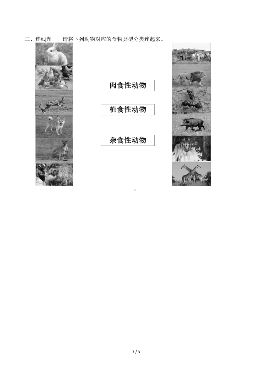 2020新粤教版四年级下册《科学》10.动物需要食物 导学案（无 答案）.docx_第3页