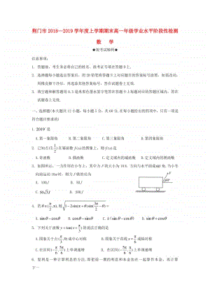 湖北省荆门市2018—2019学年高一数学上学期期末学业水平阶段性检测试卷及答案.doc