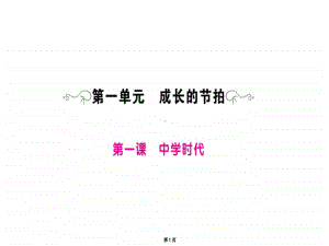 人教部编版七年级道德与法治上册训练课件：复习提纲(共79张PPT).ppt