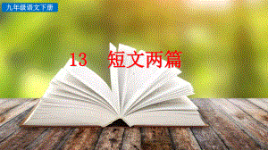 9年级下册语文部编版探索积累课件13 短文两篇.pptx