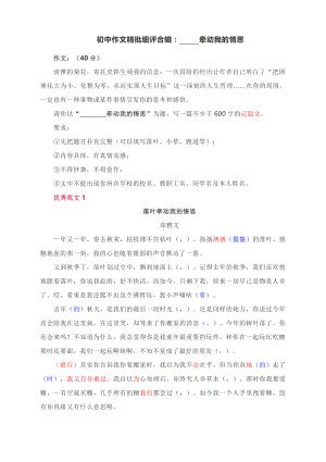 初中作文精批细评合辑： 牵动我的情思.docx