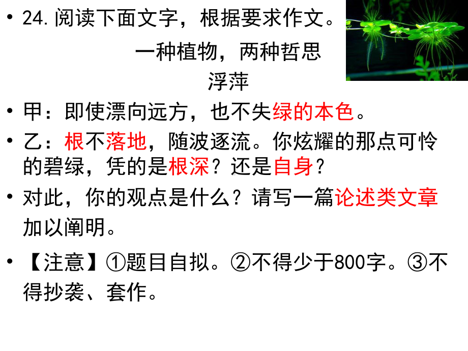 高中语文材料作文讲评：一种植物两种哲思 课件（26张）.ppt_第3页