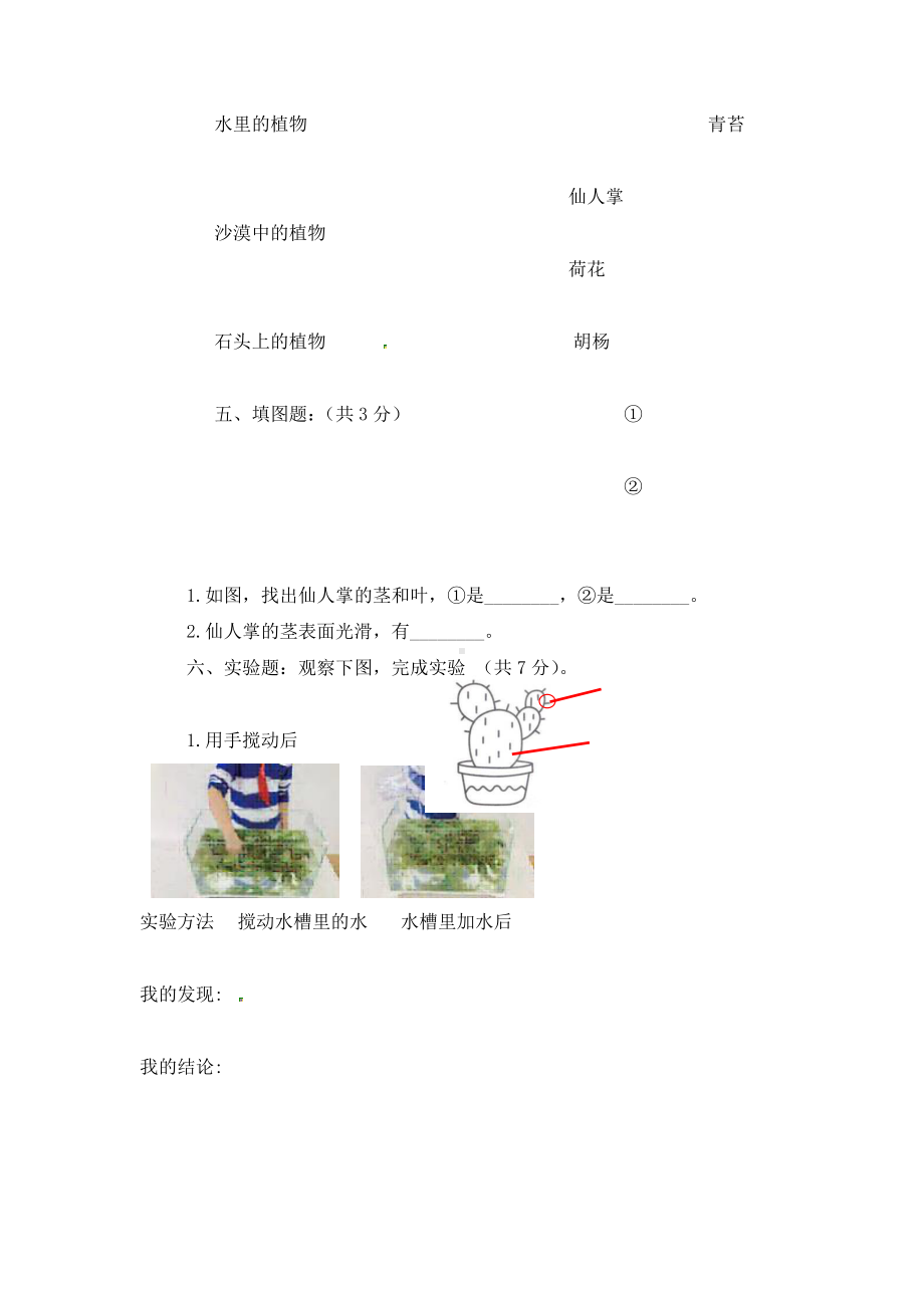 2020新苏教版三年级下册科学单元检测题第二单元《植物与环境》（含答案）.docx_第3页