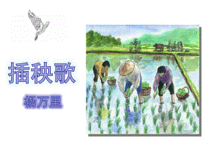 （新教材）人教部编版必修上册语文 插秧歌ppt课件（含音频）.ppt