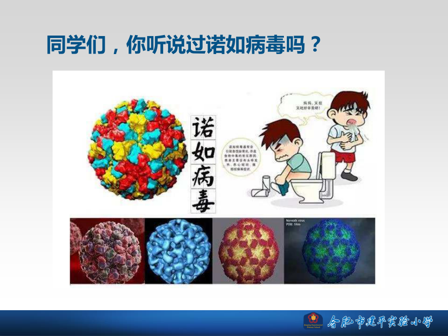 诺如病毒-防控知识-主题班会.ppt_第3页