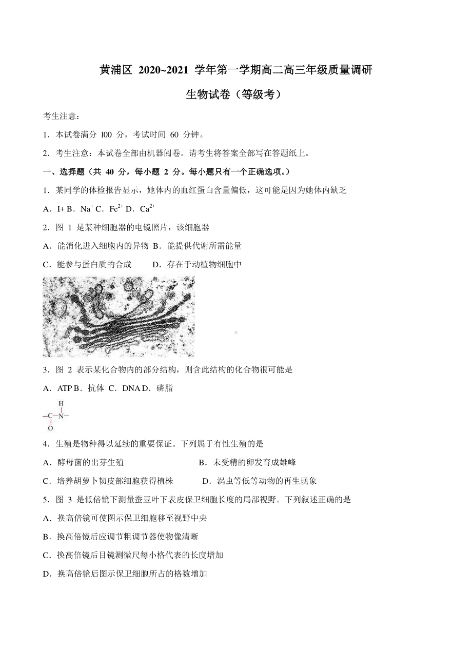 2021届上海市黄浦区高三一模生物试题（Word版含答案）.docx_第1页