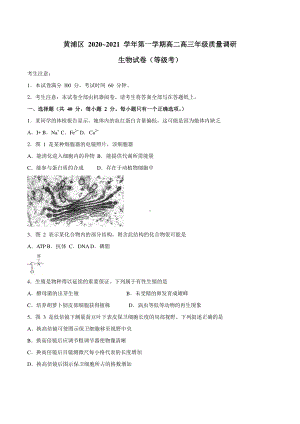 2021届上海市黄浦区高三一模生物试题（Word版含答案）.docx