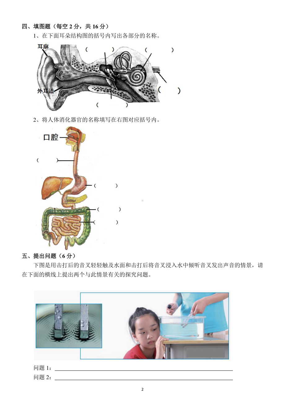 小学科学教科版四年级上册期末测试卷19.docx_第2页