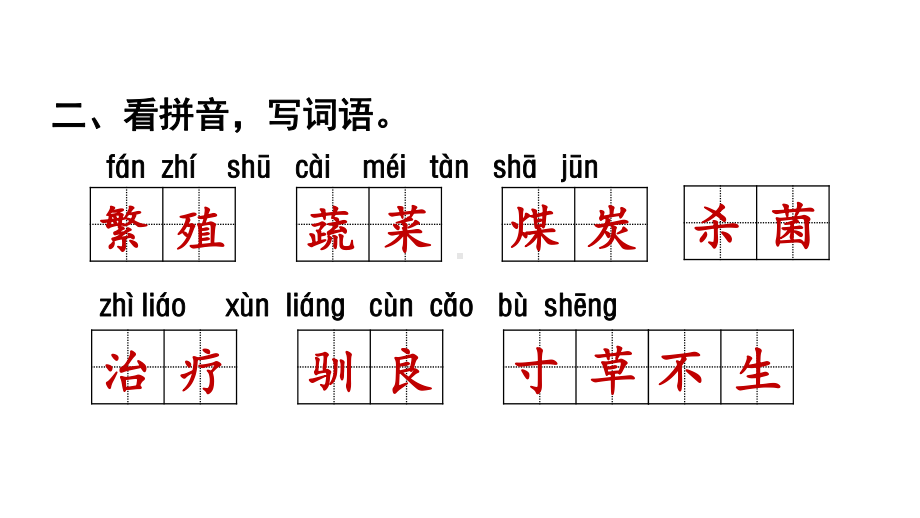 部编版五年级上册语文第五单元复习课件.ppt_第3页