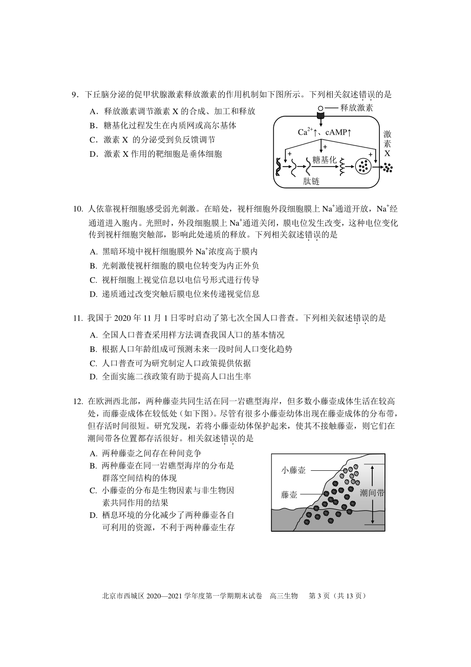 北京市西城区2020—2021学年度第一学期期末试卷 高三生物2021.1（Word版含答案）.doc_第3页