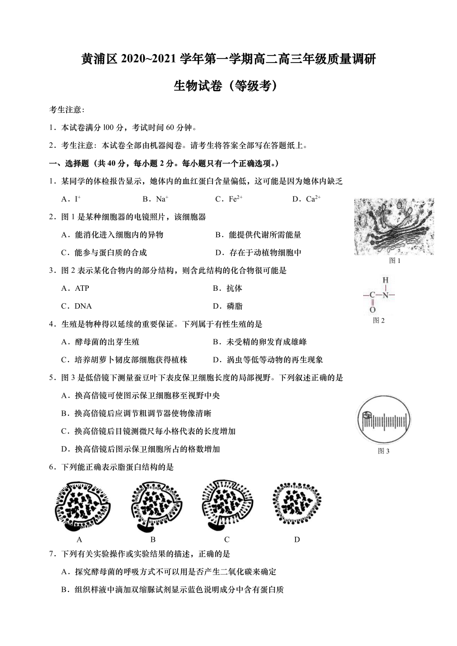 上海市黄浦区2020-2021学年第一学期高二高三年级质量调研生物试卷（等级考）（有答案）.pdf_第1页