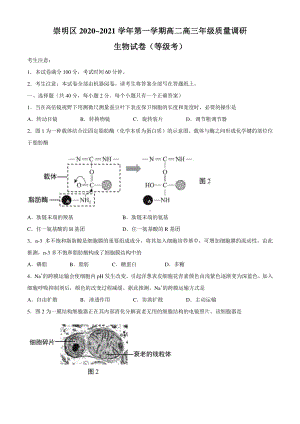 2021届上海市崇明区高三一模生物试题（Word版含答案）.docx