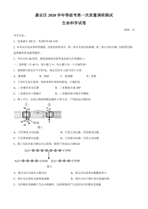 2021届上海市嘉定区高三一模生物试题（Word版含答案）.docx