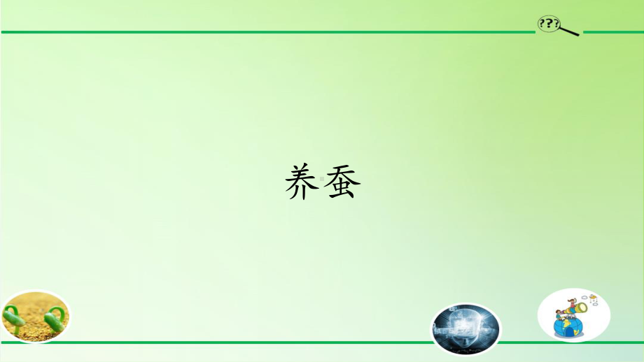 2020新青岛版（五四制）三年级下册科学5. 17.养蚕ppt课件.pptx_第1页