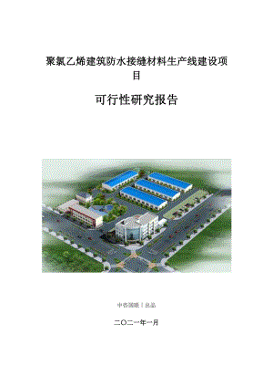 聚氯乙烯建筑防水接缝材料生产建设项目可行性研究报告.doc