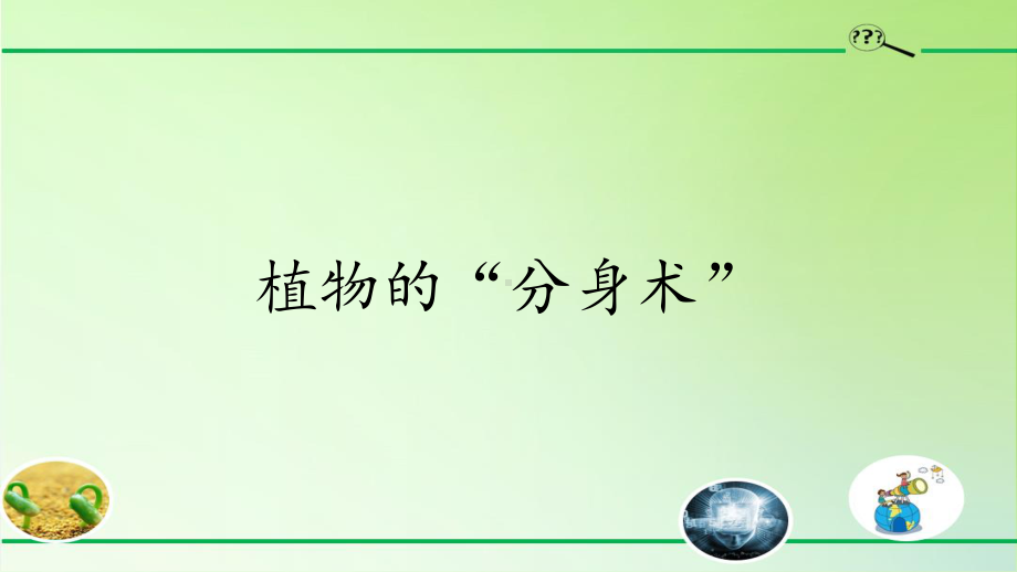 2020新青岛版（五四制）三年级下册科学4. 14.植物的“分身术”ppt课件.pptx_第1页