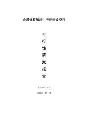 金属规整填料生产建设项目可行性研究报告.doc