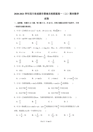 2020-2021学年四川省成都市蓉城名校联盟高一（上）期末数学试卷.docx