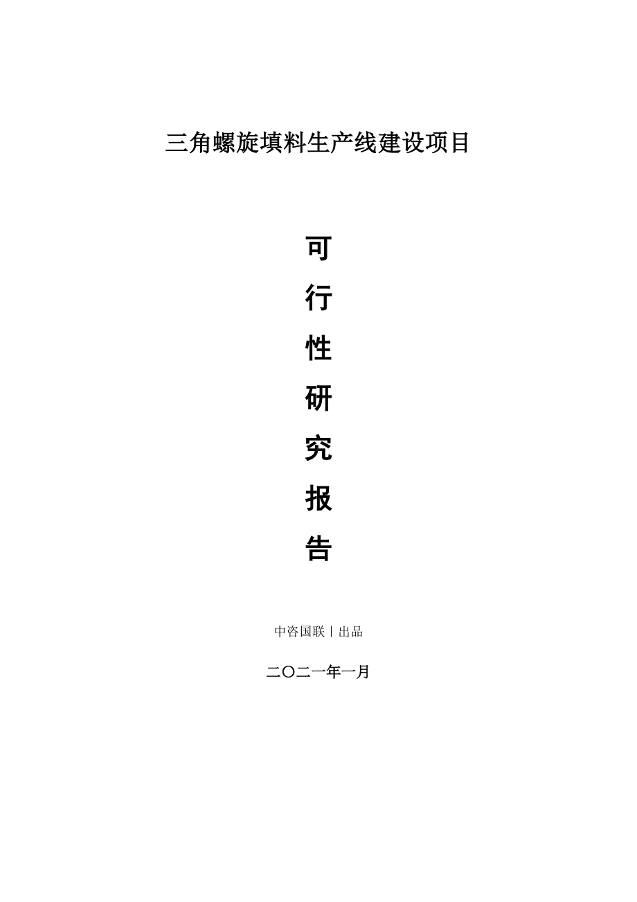 三角螺旋填料生产建设项目可行性研究报告.doc_第1页