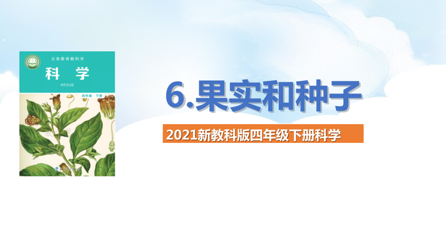 2021新教科版四年级下册科学1.6果实和种子ppt课件（含教案）.rar