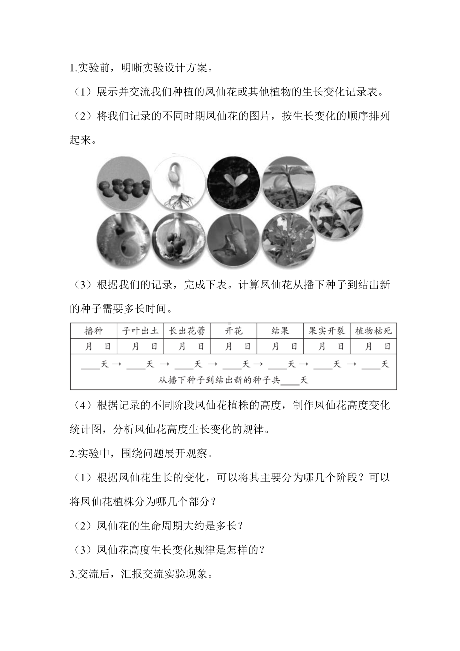 2021新教科版四年级下册科学1.8 凤仙花的一生 教案+教学反思.docx_第2页