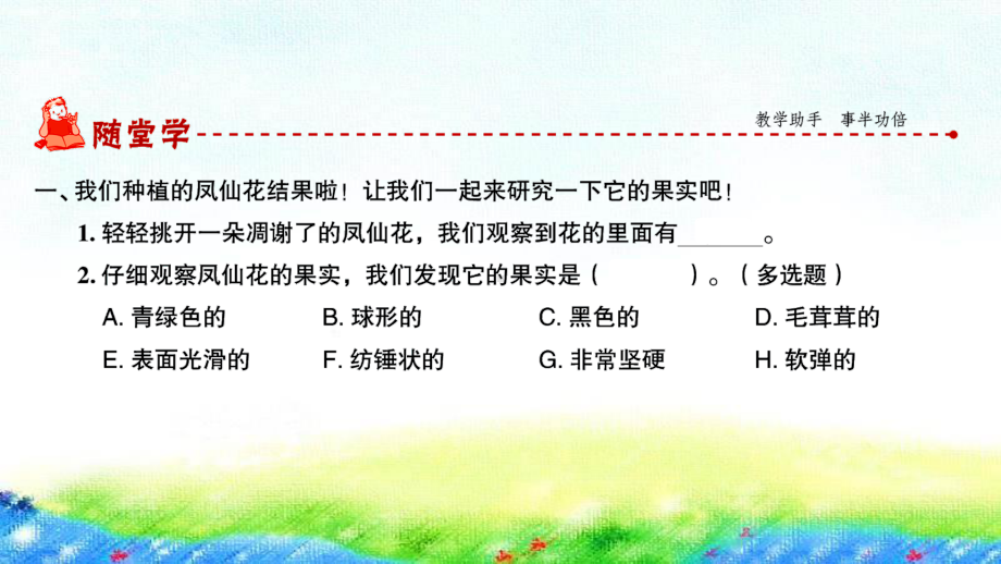 2020新教科版四年级下册科学第6课时 果实和种子ppt课件（图片版）.ppt_第2页