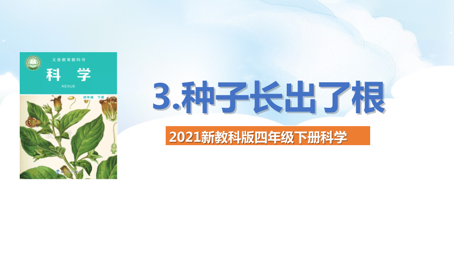 2021新教科版四年级下册科学1.3种子长出了根ppt课件（含教案）.rar