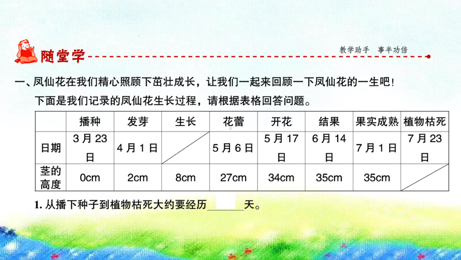 2020新教科版四年级下册科学第8课时 凤仙花的一生ppt课件（图片版）.ppt_第2页