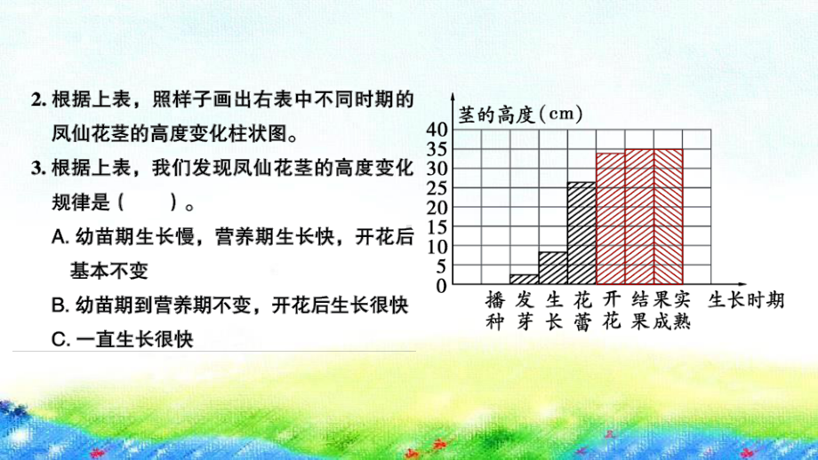 2020新教科版四年级下册科学第8课时 凤仙花的一生ppt课件（图片版）.ppt_第3页