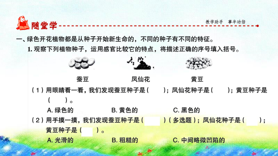 2020新教科版四年级下册科学第1课时 种子里孕育着新生命ppt课件（图片版）.ppt_第2页