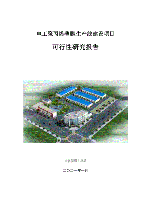 电工聚丙烯薄膜生产建设项目可行性研究报告.doc