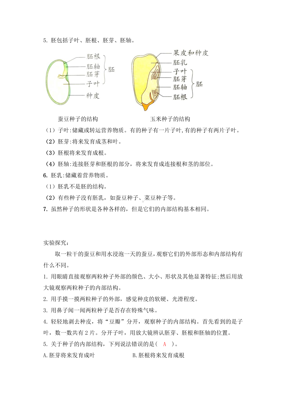 2020新教科版四年级下册科学第一单元《植物的生长变化》知识点总结.doc_第2页