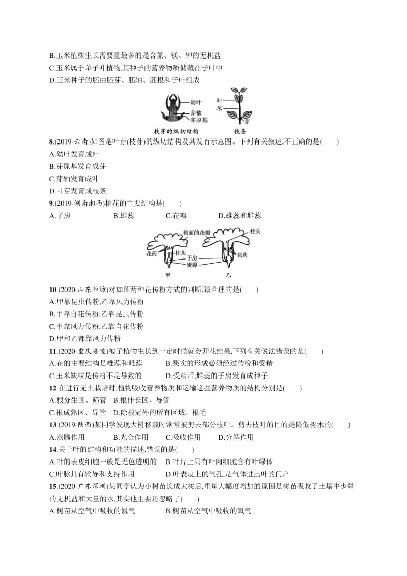 2021年安徽学业水平考试生物 专题检测(三)　生物圈中的绿色植物.docx_第2页