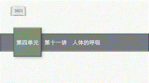 2021年安徽学业水平考试地理复习课件：第十一讲　人体的呼吸.pptx