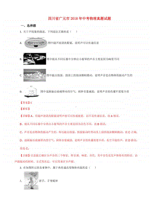 四川省广元市2018年中考物理真题试题（含解析）.doc