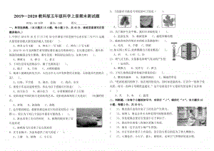 2019—2020教科版五年级科学上册期末测试题.docx