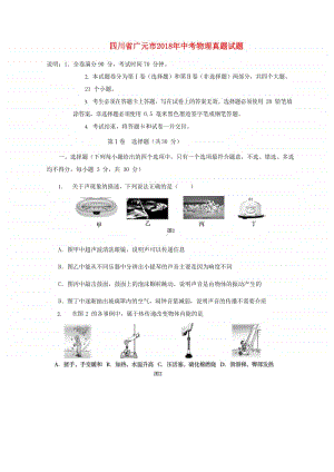 四川省广元市2018年中考物理真题试题（含答案）.doc