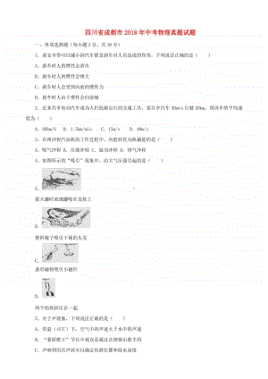 四川省成都市2018年中考物理真题试题（含解析）.doc