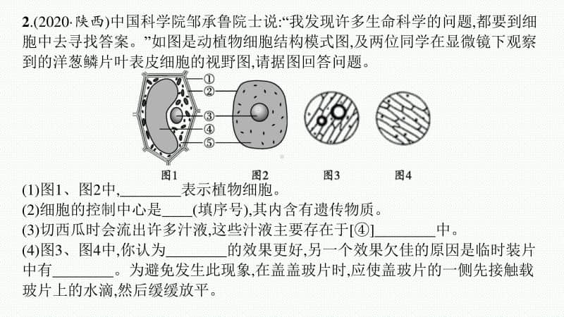 2021年安徽学业水平考试地理复习课件：大题突破练.pptx_第3页