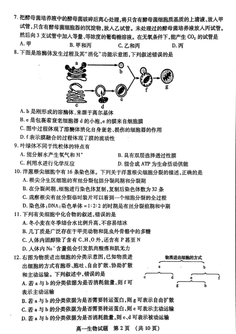 山东省枣庄市2019-2020学年高一上学期期末考试生物试题及答案 PDF版.doc_第2页