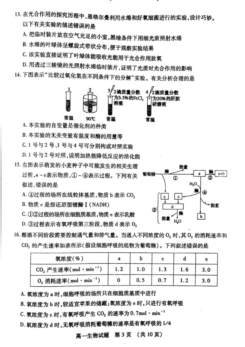 山东省枣庄市2019-2020学年高一上学期期末考试生物试题及答案 PDF版.doc_第3页