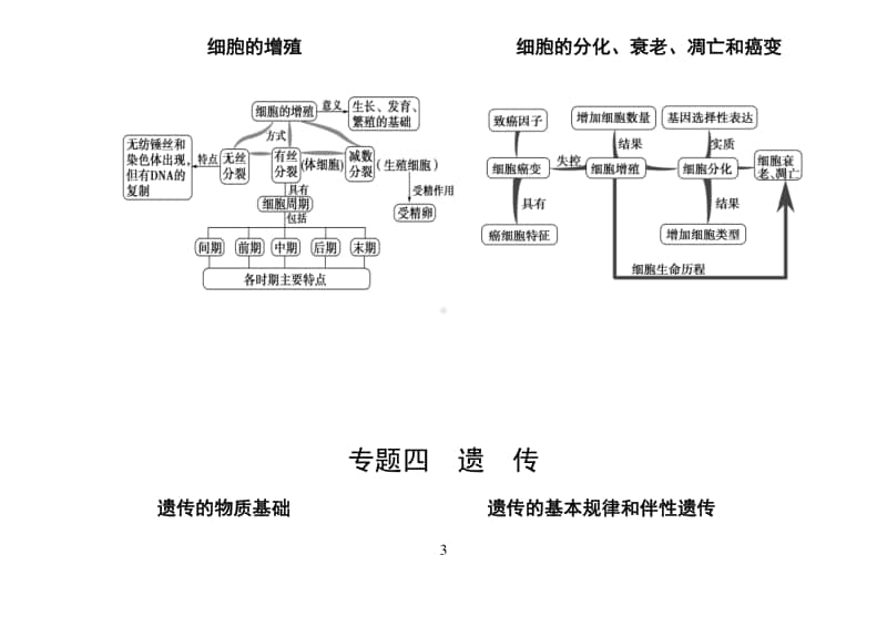 最新整理高中生物专题复习知识框架.doc_第3页