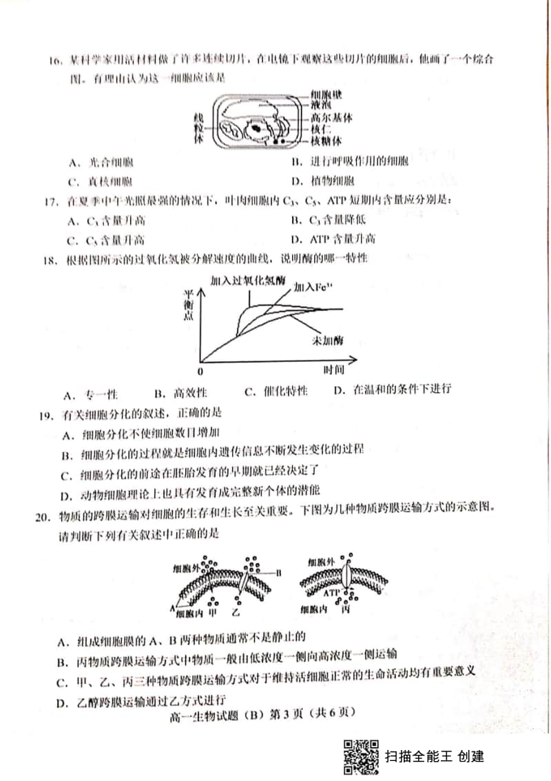 山东省菏泽市2019-2020学年高一上学期期末联考B生物试题+PDF版含答案.doc_第3页